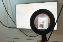 SCENOWBDA11