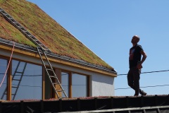 Vegetalic.house-sebastien.mouffe-0