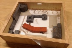 ecole-internat-subwayarchitecture-sebastien.mouffe-jambes-1